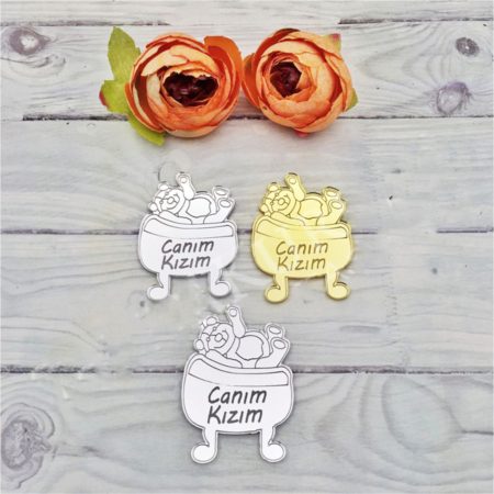 25 Adet Uyuyan Ayıcık Pleksi Bebek Magnet