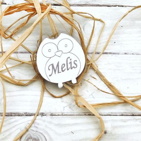 25 Adet Kuş Pleksi Bebek Magnet