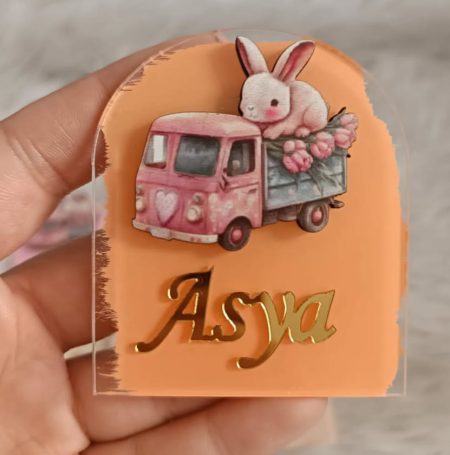 25 Adet Tavşan Kamyonet Figürlü Magnet F1125