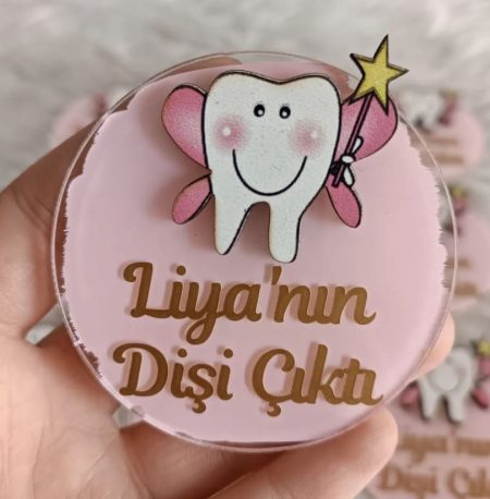 25 Adet Diş Figürlü Magnet F1136
