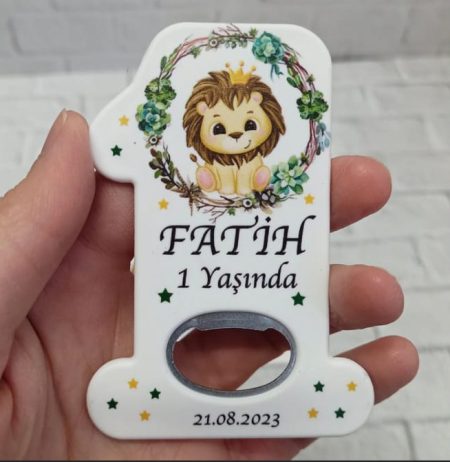 25 Adet Aslan 1 Yaş Açacak Magnet F1158